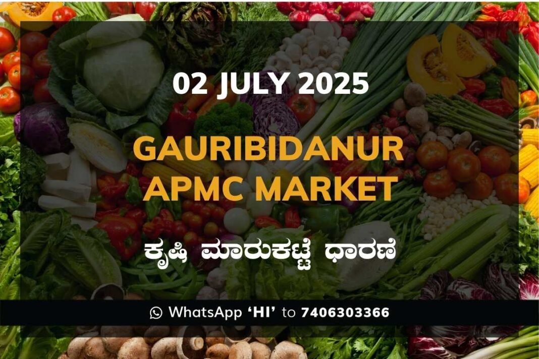 Gauribidanur APMC Agriculture Market Daily Price Report ಗೌರಿಬಿದನೂರು ಕೃಷಿ ಮಾರುಕಟ್ಟೆ ಧಾರಣೆ