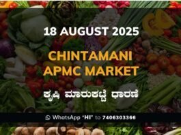 Chintamani APMC Agriculture Market Daily Price Rate List ಚಿಂತಾಮಣಿ ಕೃಷಿ ಮಾರುಕಟ್ಟೆ ಧಾರಣೆ
