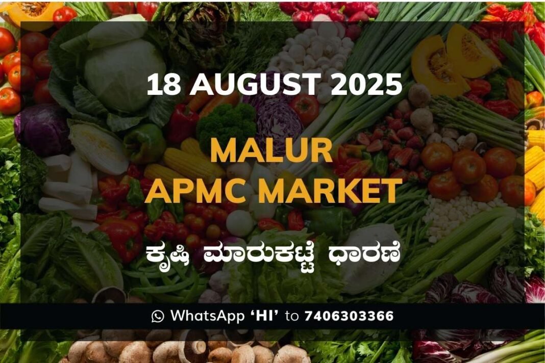 Malur APMC Market ಮಾಲೂರು ಕೃಷಿ ಮಾರುಕಟ್ಟೆ ಧಾರಣೆ