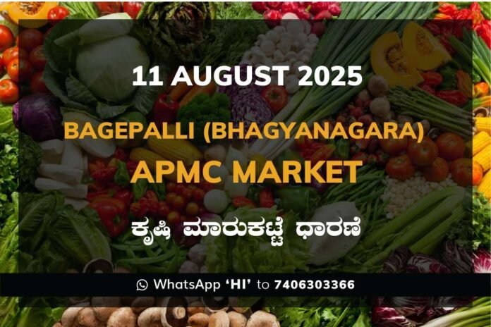 Bagepalli Bhagyanagara APMC Agriculture Market Daily Price Report ಬಾಗೇಪಲ್ಲಿ ಭಾಗ್ಯನಗರ ಕೃಷಿ ಮಾರುಕಟ್ಟೆ ಧಾರಣೆ