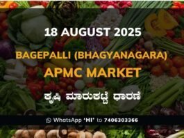 Bagepalli Bhagyanagara APMC Agriculture Market Daily Price Report ಬಾಗೇಪಲ್ಲಿ ಭಾಗ್ಯನಗರ ಕೃಷಿ ಮಾರುಕಟ್ಟೆ ಧಾರಣೆ