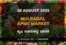 Mulbagal APMC Market: 18 August 2025 Mulbagal APMC Agriculture Market Daily Price Report ಮುಳಬಾಗಿಲು ಕೃಷಿ ಮಾರುಕಟ್ಟೆ ಧಾರಣೆ
