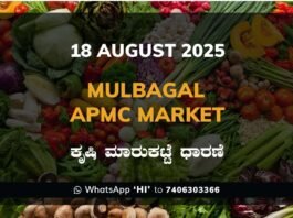 Mulbagal APMC Agriculture Market Daily Price Report ಮುಳಬಾಗಿಲು ಕೃಷಿ ಮಾರುಕಟ್ಟೆ ಧಾರಣೆ