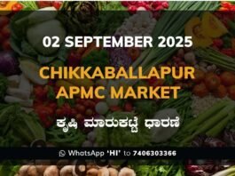 Chikkaballapur APMC Agriculture Market Daily Price Report ಚಿಕ್ಕಬಳ್ಳಾಪುರ ಕೃಷಿ ಮಾರುಕಟ್ಟೆ ಧಾರಣೆ