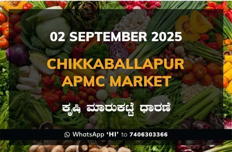 Chikkaballapur APMC Agriculture Market Daily Price Report ಚಿಕ್ಕಬಳ್ಳಾಪುರ ಕೃಷಿ ಮಾರುಕಟ್ಟೆ ಧಾರಣೆ