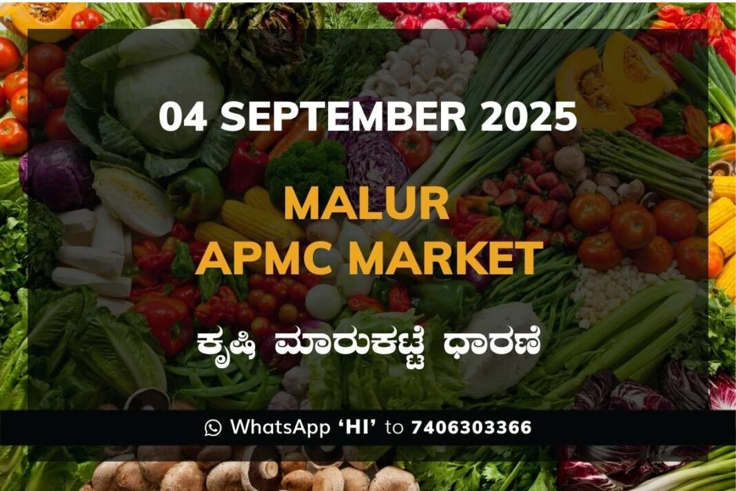 Malur APMC Market ಮಾಲೂರು ಕೃಷಿ ಮಾರುಕಟ್ಟೆ ಧಾರಣೆ