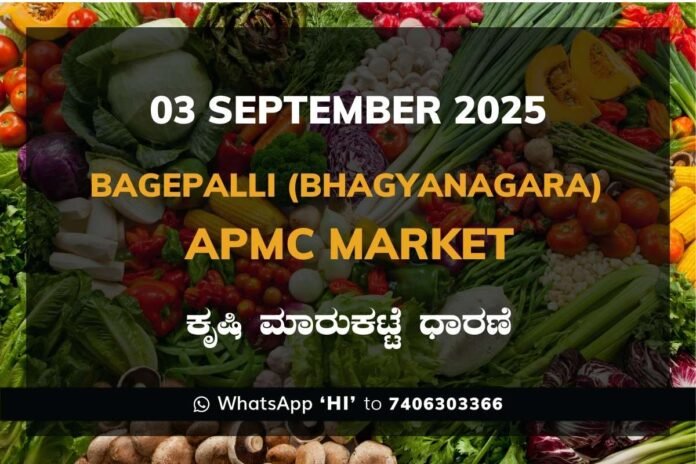 Bagepalli Bhagyanagara APMC Agriculture Market Daily Price Report ಬಾಗೇಪಲ್ಲಿ ಭಾಗ್ಯನಗರ ಕೃಷಿ ಮಾರುಕಟ್ಟೆ ಧಾರಣೆ