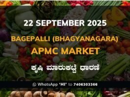 Bagepalli (Bhagyanagara) APMC Agriculture Market Daily Price Report ಬಾಗೇಪಲ್ಲಿ (ಭಾಗ್ಯನಗರ) ಕೃಷಿ ಮಾರುಕಟ್ಟೆ ಧಾರಣೆ