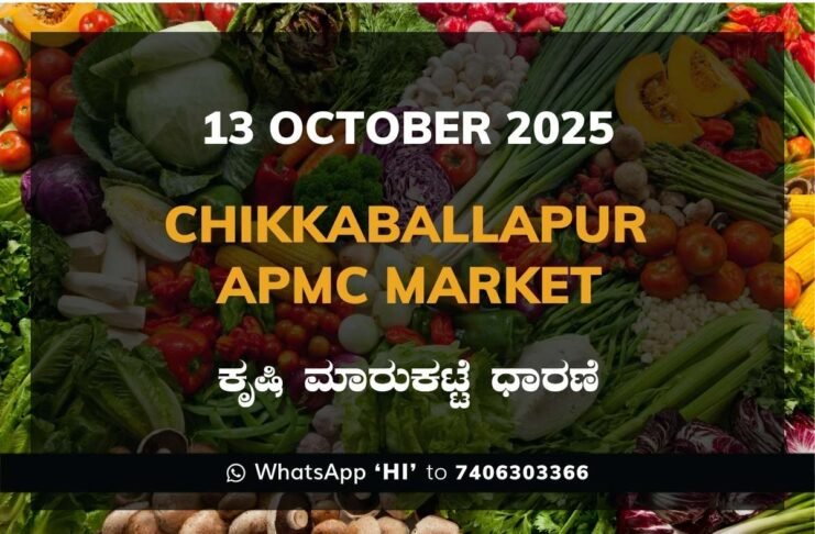 Chikkaballapur APMC Agriculture Market Daily Price Report ಚಿಕ್ಕಬಳ್ಳಾಪುರ ಕೃಷಿ ಮಾರುಕಟ್ಟೆ ಧಾರಣೆ