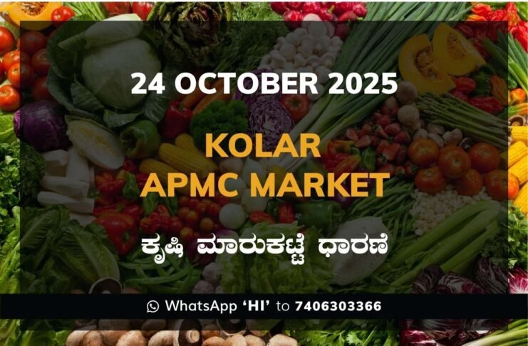 Kolar APMC Agriculture Market Daily Price Report ಕೋಲಾರ ಕೃಷಿ ಮಾರುಕಟ್ಟೆ ಧಾರಣೆ