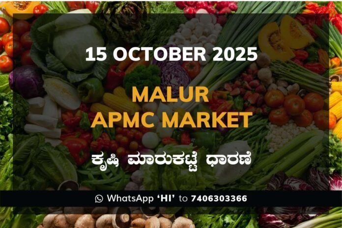 Malur APMC Market ಮಾಲೂರು ಕೃಷಿ ಮಾರುಕಟ್ಟೆ ಧಾರಣೆ