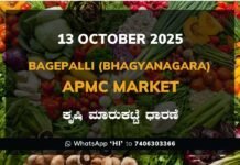 Bagepalli (Bhagyanagara) APMC Market: 13 October 2025 Bagepalli (Bhagyanagara) APMC Agriculture Market Daily Price Report ಬಾಗೇಪಲ್ಲಿ (ಭಾಗ್ಯನಗರ) ಕೃಷಿ ಮಾರುಕಟ್ಟೆ ಧಾರಣೆ