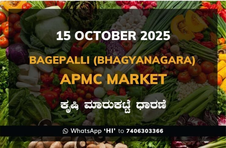 Bagepalli (Bhagyanagara) APMC Agriculture Market Daily Price Report ಬಾಗೇಪಲ್ಲಿ (ಭಾಗ್ಯನಗರ) ಕೃಷಿ ಮಾರುಕಟ್ಟೆ ಧಾರಣೆ