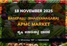 Bagepalli (Bhagyanagara) APMC Market: 18 November 2025 Bagepalli (Bhagyanagara) APMC Agriculture Market Daily Price Report ಬಾಗೇಪಲ್ಲಿ (ಭಾಗ್ಯನಗರ) ಕೃಷಿ ಮಾರುಕಟ್ಟೆ ಧಾರಣೆ