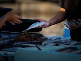 ಮೀನು ಮಾರಾಟಕ್ಕೆ ಶೇ. 90 ರಷ್ಟು ಸಹಾಯಧನ Chikkaballapur Fish Seller Subsidy