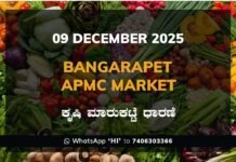 Bangarapet APMC Market: 09 December 2025 Bangarapet APMC Market ಬಂಗಾರಪೇಟೆ ಕೃಷಿ ಮಾರುಕಟ್ಟೆ ಧಾರಣೆ