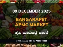 Bangarapet APMC Market: 09 December 2025 Bangarapet APMC Market ಬಂಗಾರಪೇಟೆ ಕೃಷಿ ಮಾರುಕಟ್ಟೆ ಧಾರಣೆ