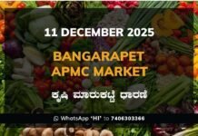 Bangarapet APMC Market: 11 December 2025 Bangarapet APMC Market ಬಂಗಾರಪೇಟೆ ಕೃಷಿ ಮಾರುಕಟ್ಟೆ ಧಾರಣೆ