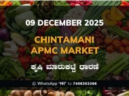 Chintamani APMC Agriculture Market Daily Price Rate List ಚಿಂತಾಮಣಿ ಕೃಷಿ ಮಾರುಕಟ್ಟೆ ಧಾರಣೆ