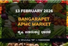 Bangarapet APMC Market: 13 February 2026 Bangarapet APMC Market ಬಂಗಾರಪೇಟೆ ಕೃಷಿ ಮಾರುಕಟ್ಟೆ ಧಾರಣೆ