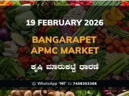 Bangarapet APMC Market: 19 February 2026 Bangarapet APMC Market ಬಂಗಾರಪೇಟೆ ಕೃಷಿ ಮಾರುಕಟ್ಟೆ ಧಾರಣೆ