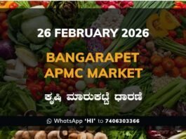 Bangarapet APMC Market: 26 February 2026 Bangarapet APMC Market ಬಂಗಾರಪೇಟೆ ಕೃಷಿ ಮಾರುಕಟ್ಟೆ ಧಾರಣೆ