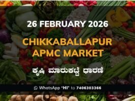 Chikkaballapur APMC Market: 26 February 2026 Chikkaballapur APMC Agriculture Market Daily Price Report ಚಿಕ್ಕಬಳ್ಳಾಪುರ ಕೃಷಿ ಮಾರುಕಟ್ಟೆ ಧಾರಣೆ