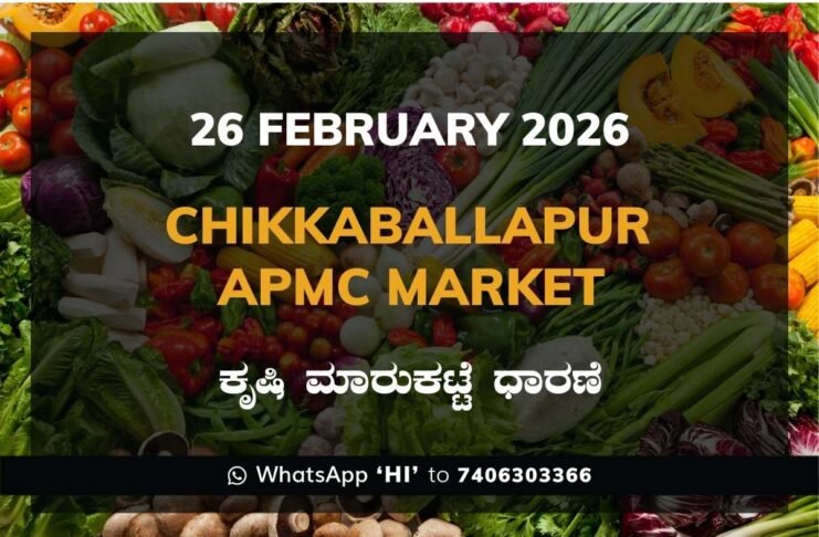 Chikkaballapur APMC Agriculture Market Daily Price Report ಚಿಕ್ಕಬಳ್ಳಾಪುರ ಕೃಷಿ ಮಾರುಕಟ್ಟೆ ಧಾರಣೆ