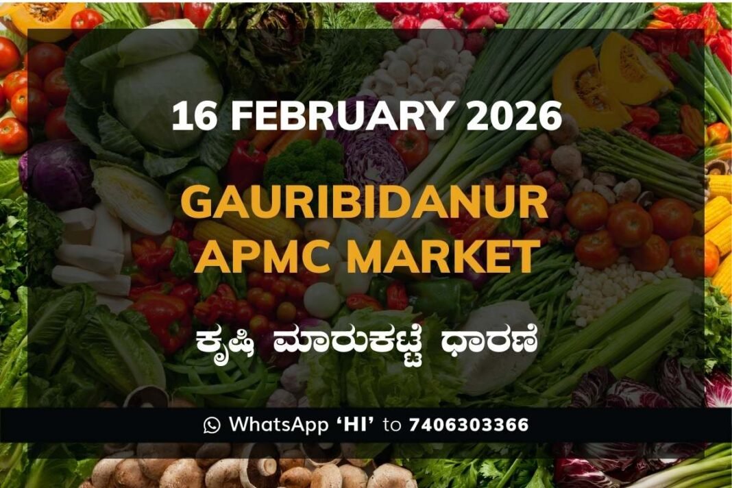 Gauribidanur APMC Agriculture Market Daily Price Report ಗೌರಿಬಿದನೂರು ಕೃಷಿ ಮಾರುಕಟ್ಟೆ ಧಾರಣೆ