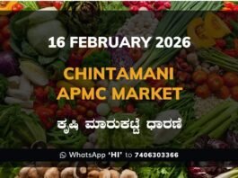 Chintamani APMC Market: 16 February 2026 Chintamani APMC Agriculture Market Daily Price Rate List ಚಿಂತಾಮಣಿ ಕೃಷಿ ಮಾರುಕಟ್ಟೆ ಧಾರಣೆ