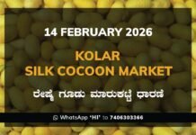 Kolar Silk Cocoon Market: 14 February 2026