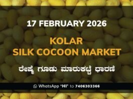 Kolar Silk Cocoon Market: 17 February 2026