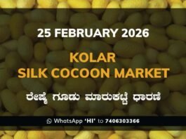 Kolar Silk Cocoon Market: 25 February 2026