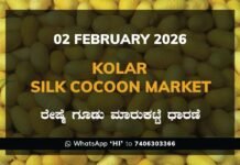 Kolar Silk Cocoon Market: 02 February 2026