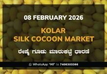 Kolar Silk Cocoon Market: 08 February 2026