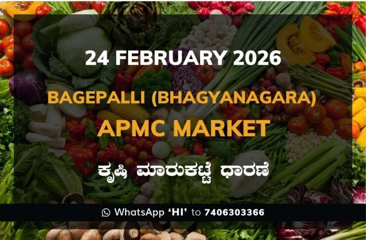 Bagepalli (Bhagyanagara) APMC Agriculture Market Daily Price Report ಬಾಗೇಪಲ್ಲಿ (ಭಾಗ್ಯನಗರ) ಕೃಷಿ ಮಾರುಕಟ್ಟೆ ಧಾರಣೆ