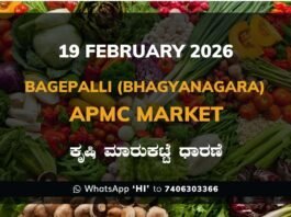 Bagepalli (Bhagyanagara) APMC Market: 19 February 2026 Bagepalli (Bhagyanagara) APMC Agriculture Market Daily Price Report ಬಾಗೇಪಲ್ಲಿ (ಭಾಗ್ಯನಗರ) ಕೃಷಿ ಮಾರುಕಟ್ಟೆ ಧಾರಣೆ