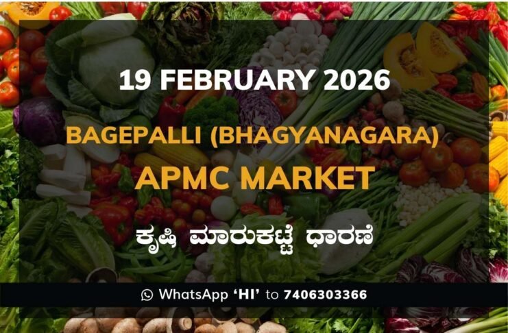 Bagepalli (Bhagyanagara) APMC Agriculture Market Daily Price Report ಬಾಗೇಪಲ್ಲಿ (ಭಾಗ್ಯನಗರ) ಕೃಷಿ ಮಾರುಕಟ್ಟೆ ಧಾರಣೆ