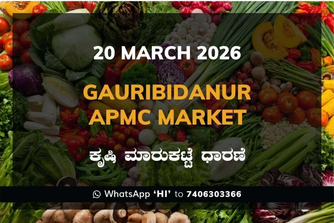 Gauribidanur APMC Agriculture Market Daily Price Report ಗೌರಿಬಿದನೂರು ಕೃಷಿ ಮಾರುಕಟ್ಟೆ ಧಾರಣೆ
