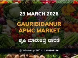 Gauribidanur APMC Market: 23 March 2026 Gauribidanur APMC Agriculture Market Daily Price Report ಗೌರಿಬಿದನೂರು ಕೃಷಿ ಮಾರುಕಟ್ಟೆ ಧಾರಣೆ