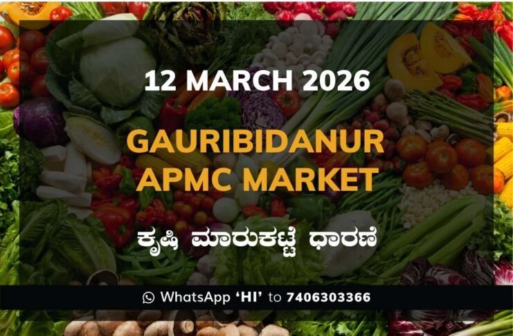 Gauribidanur APMC Agriculture Market Daily Price Report ಗೌರಿಬಿದನೂರು ಕೃಷಿ ಮಾರುಕಟ್ಟೆ ಧಾರಣೆ