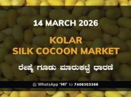 Kolar Silk Cocoon Market: 14 March 2026