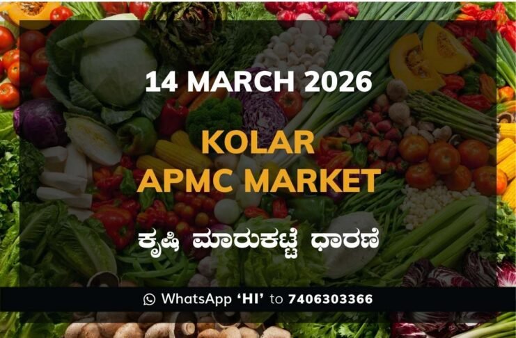 Kolar APMC Agriculture Market Daily Price Report ಕೋಲಾರ ಕೃಷಿ ಮಾರುಕಟ್ಟೆ ಧಾರಣೆ