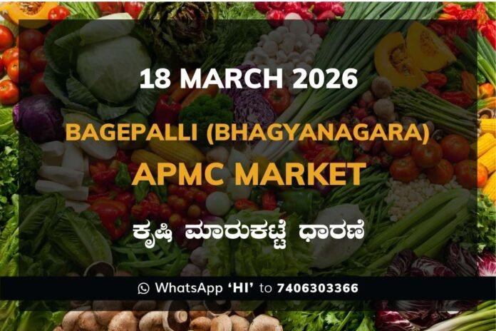 Bagepalli (Bhagyanagara) APMC Market: 13 March 2026