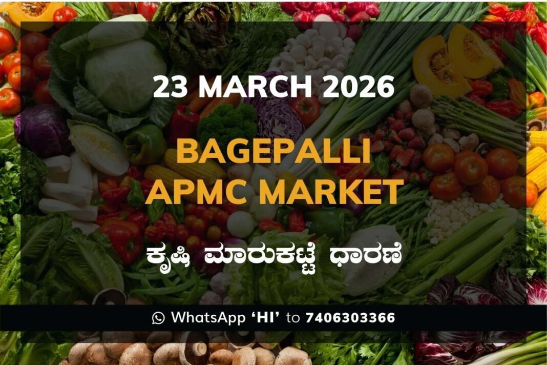 Bagepalli (Bhagyanagara) APMC Market: 23 March 2026