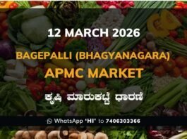 Bagepalli (Bhagyanagara) APMC Agriculture Market Daily Price Report ಬಾಗೇಪಲ್ಲಿ (ಭಾಗ್ಯನಗರ) ಕೃಷಿ ಮಾರುಕಟ್ಟೆ ಧಾರಣೆ