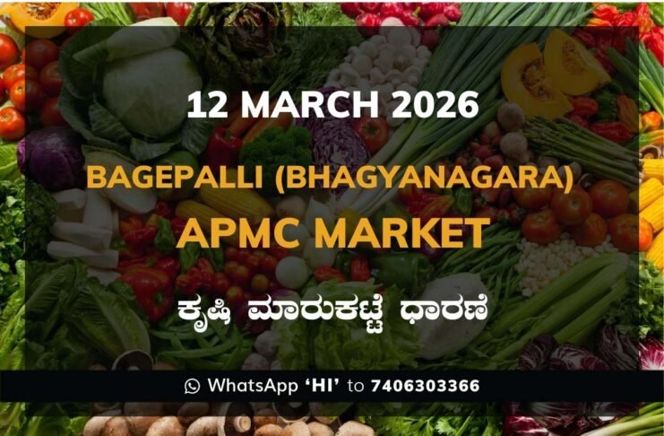 Bagepalli (Bhagyanagara) APMC Agriculture Market Daily Price Report ಬಾಗೇಪಲ್ಲಿ (ಭಾಗ್ಯನಗರ) ಕೃಷಿ ಮಾರುಕಟ್ಟೆ ಧಾರಣೆ