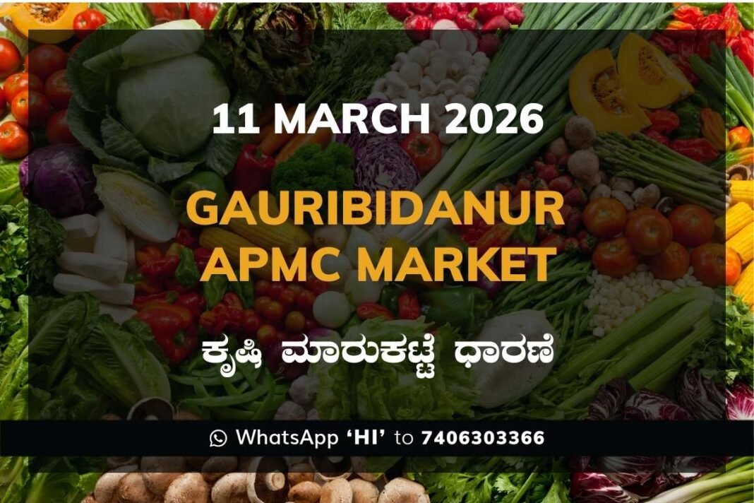 Gauribidanur APMC Agriculture Market Daily Price Report ಗೌರಿಬಿದನೂರು ಕೃಷಿ ಮಾರುಕಟ್ಟೆ ಧಾರಣೆ