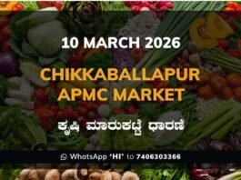 Chikkaballapur APMC Agriculture Market Daily Price Report ಚಿಕ್ಕಬಳ್ಳಾಪುರ ಕೃಷಿ ಮಾರುಕಟ್ಟೆ ಧಾರಣೆ