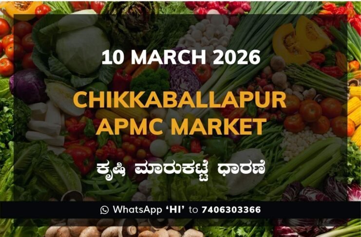 Chikkaballapur APMC Agriculture Market Daily Price Report ಚಿಕ್ಕಬಳ್ಳಾಪುರ ಕೃಷಿ ಮಾರುಕಟ್ಟೆ ಧಾರಣೆ